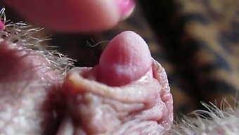 Intense Close-Up Of My Throbbing Clit Tip